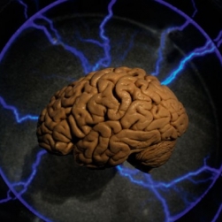 Констатирование смерти мозга – объективно или нет