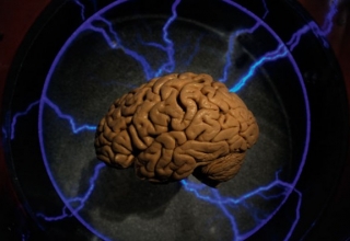 Констатирование смерти мозга – объективно или нет