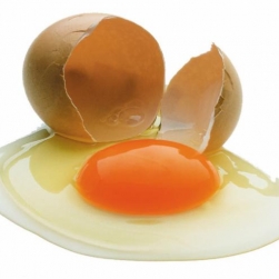 Новые  исследования  о  полезности  яиц