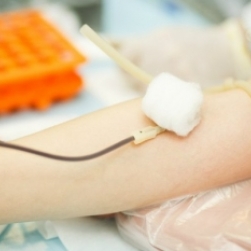 Санкт-Петербург получил нового менеджера по донорству крови