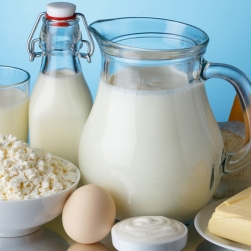 Тренд отказа от молока и молочных продуктов назвали серьёзным заблуждением